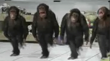 2012010512_1130f2d67a0f4e6bd9afoUoaYjag1gcb1.gif